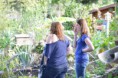 /album/fotogalerij/dsc-1381-jpg/